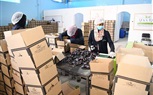 محافظ قنا يطلق إشارة بدء توصيل التيار الكهربائي بالمنطقة الصناعية والحرة