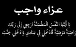 د. أماني الموجي وم. عماد النجار يتقدمون بخالص العزاء للحاج احمد عباس البطران وال البطران جميعا في وفاة والده الحاج عباس البطران 