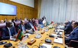 وزير الخارجية يشارك في اجتماع مجموعة العمل الوزارية العربية بشأن دعم الصومال