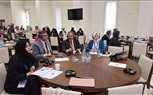 محافظ الجيزة يُشارك في جلستي عمل عن الثورة الخضراء الحضرية 