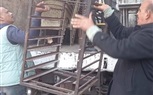 محافظ الجيزة يتابع جهود حملات تمشيط الشوارع ورفع الإشغالات بجنوب والعمرانية وإمبابة والمنيرة والبدرشين والعياط
