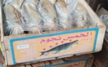 ضبط 300 كجم لحوم وأسماك غير صالحة للاستهلاك الآدمي بكفر الشيخ 