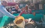 ضبط كميات من الأسماك المملحة الفاسدة و 36 مخالفة تموينية بكفر الشيخ 