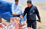   وزير الزراعة يتابع جهود 