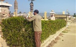 تكثيف النظافة وتجميل الأحياء في طور سيناء