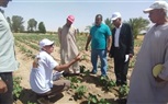 وكيل الزراعة بجنوب سيناء يتفقد مزارع قرية الوادي