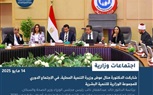 نشرة الحصاد الأسبوعي لرصد أنشطة التنمية المحلية.. إنفوجراف