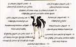 الزراعة: 12 علامة لاختيار الأضاحي و8 للحوم السليمة