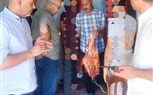 الزراعة ضبط أكثر من 107 طن لحوم غير صالحة للاستهلاك الآدمي وتحرير 863 محضر