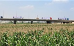 «مستقبل وطن» يطلق «أضحى الخير» بمحافظة الجيزة 