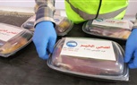 «مستقبل وطن» يطلق «أضحى الخير» بمحافظة الجيزة 