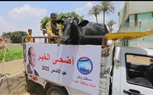 «مستقبل وطن» يطلق «أضحى الخير» بمحافظة الجيزة 