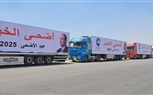 «مستقبل وطن» يطلق «أضحى الخير» بمحافظة الجيزة 