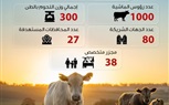 بالانفوجراف.. صندوق تحيا مصر يصل إلى 1.5 مليون مستفيد بلحوم الأضاحي من الأسرالأولى بالرعاية في كافة المحافظات 