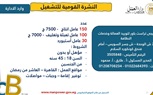 2949  فُرصة عمل جديدة في 44 شركة خاصة تنتظر شباب 10 محافظات