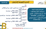 وزارة العمل تُصدر نشرة التوظيف نصف الشهرية.. بالتعاون مع القطاع الخاص 
