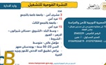 وزارة العمل تُصدر نشرة التوظيف نصف الشهرية.. بالتعاون مع القطاع الخاص 