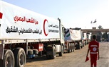 الهلال الأحمر المصري: 112 ألف سلة غذائية في قافلة «زاد العزة» الـ 14 إلى غزة 