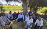 ندوة إرشادية لمحصول القطن بمركز الرحمانية