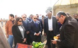 محافظ كفر الشيخ : زيارات رسمية رفيعة المستوى لشركاء التنمية جسدت رؤية القيادة السياسية لبناء الجمهورية الجديدة