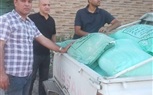 تموين الشرقية يضبط 2,600 بطاقة تموينية و77 شيكارة دقيق بلدي مدعم في حملات مكثفة