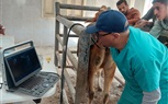 قوافل بيطرية مشتركة بين مديرية الطب البيطري بسوهاج وبرنامج الاتحاد الأوروبي للتنمية الريفية المتكاملة