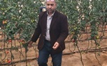 جنوب سيناء تتحرك نحو شراكة زراعية واعدة مع الريف المصري