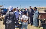 الزراعة تنفذ أكثر من 7200 ندوة إرشادية بيطرية خلال أبريل لدعم صحة الحيوان والوقاية من الأمراض