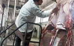 توافد كثيف على مجازر الإسكندرية في أول أيام عيد الأضحى المبارك واستقبال ٨٧٢ رأس ماشية
