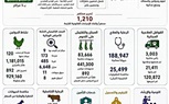 حصاد عام من إنجازات الطب البيطري بالمنيا 