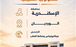 انطلاق مدارس حديد عز للتكنولوجيا التطبيقية العام الدراسي المقبل في محافظات الإسكندرية والسويس والمنوفية