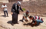 حصاد بيلا في أسبوع بالأرقام.. 7جولات ميدانية في 6 قري والمدينة وصيانة 330 عمود وكشاف إنارة و46 محضرا تموينيا