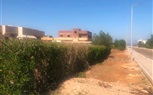 أبو رديس تضبط إيقاع شوارعها حملات ميدانية لتهذيب الأشجار ورفع المخلفات