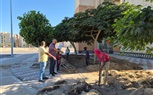 تطوير شامل للزراعات وشبكات الري بمنطقة الإسكان المتميز بالعلمين الجديدة