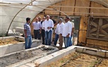 رئيس بحوث الصحراء يتفقد أنشطة مركز التنمية المستدامة لموارد جنوب سيناء برأس سدر 