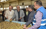 «جمبلاط» يتفقد «حلوان للأجهزة المعدنية» ويوجه بزيادة الإنتاج ومواكبة متغيرات السوق