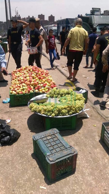 بالصور.. حملة مكبرة لضبط الخارجين عن قواعد المرور أعلى الدائري