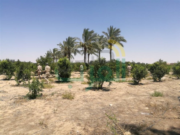 قوات إنفاذ القانون تواصل ملاحقة العناصر التكفيرية والإجرامية بشمال سيناء