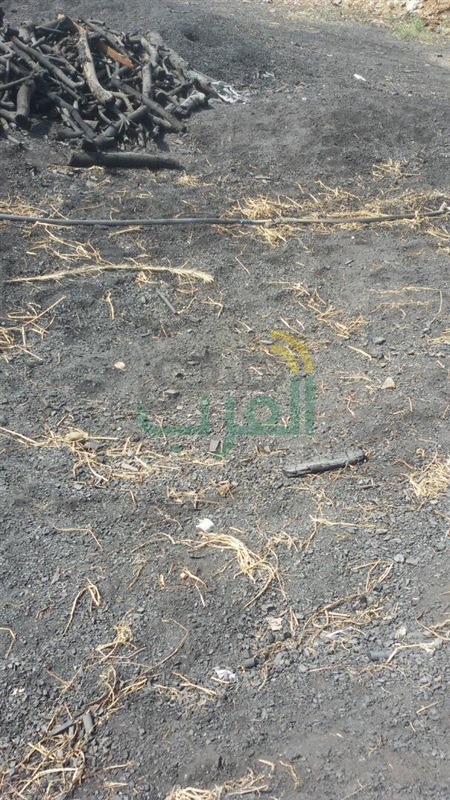محافظ القليوبية: يأمر بإطفاء 18 مكمورة فحم بمدينة الخانكة
