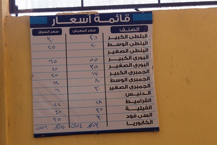 بالفيديو والصور.. محافظ كفر الشيخ يتفقد معرض السلع الغذائية