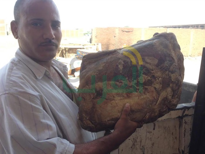 إعدام طن سلع غذائية منتهية الصلاحية بشبرا الخيمة