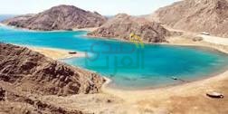 المحميات الطبيعية .. إدارة وليست تجارة المحميات الطبيعية .. إدارة وليست تجارة