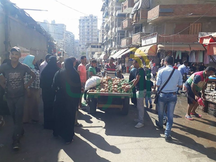 بالصور.. حملة إزالة مكبرة بحي ثان المنتزة لرفع الاشغالات بالعصافرة