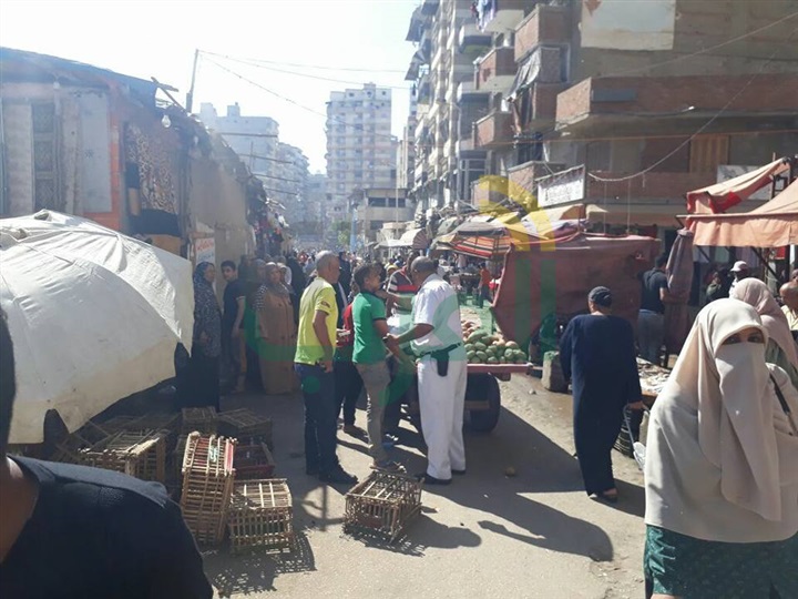 بالصور.. حملة إزالة مكبرة بحي ثان المنتزة لرفع الاشغالات بالعصافرة