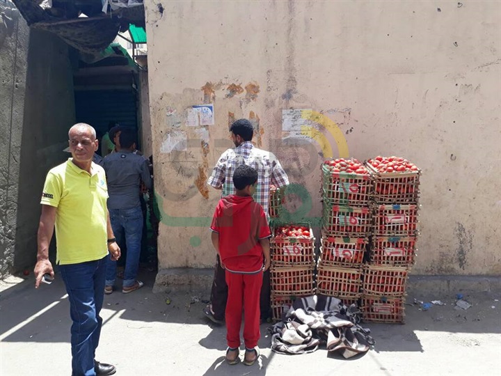 بالصور.. حملة إزالة مكبرة بحي ثان المنتزة لرفع الاشغالات بالعصافرة