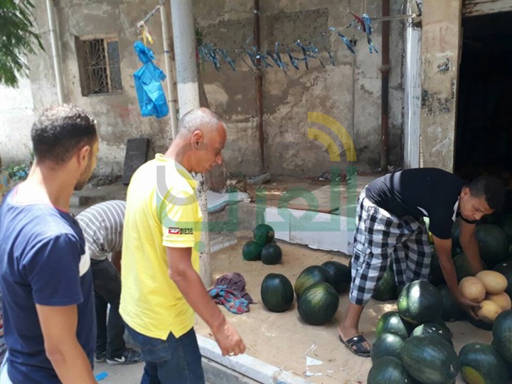 بالصور.. حملة إزالة مكبرة بحي ثان المنتزة لرفع الاشغالات بالعصافرة