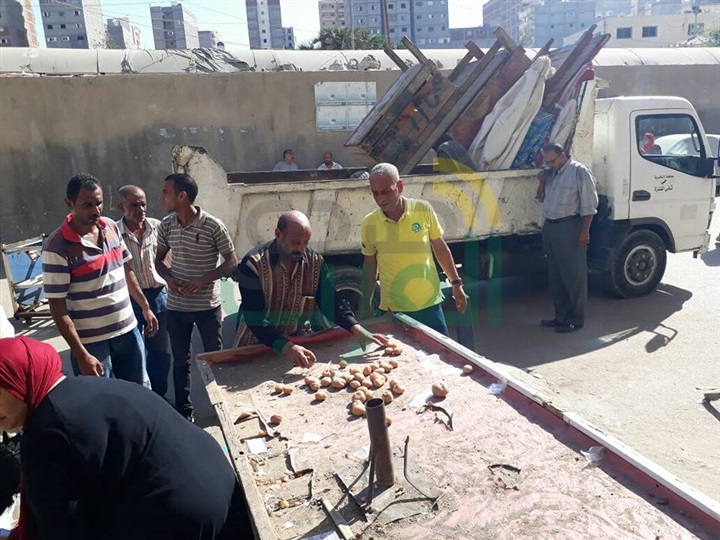 بالصور.. حملة إزالة مكبرة بحي ثان المنتزة لرفع الاشغالات بالعصافرة