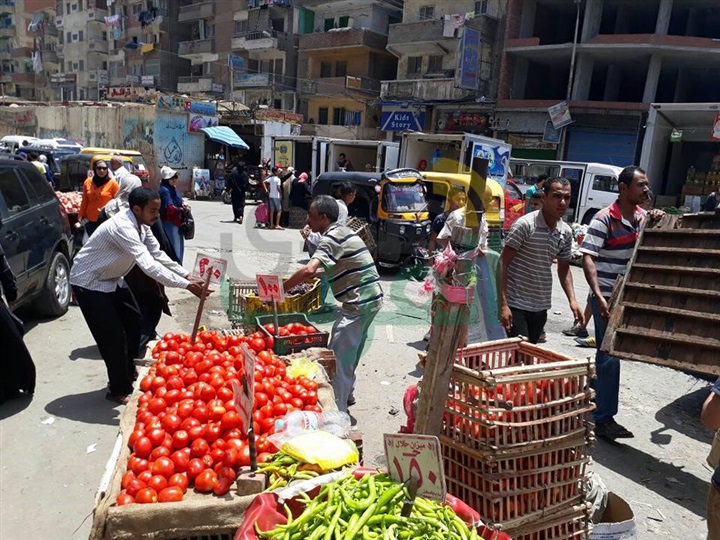 بالصور.. حملة إزالة مكبرة بحي ثان المنتزة لرفع الاشغالات بالعصافرة