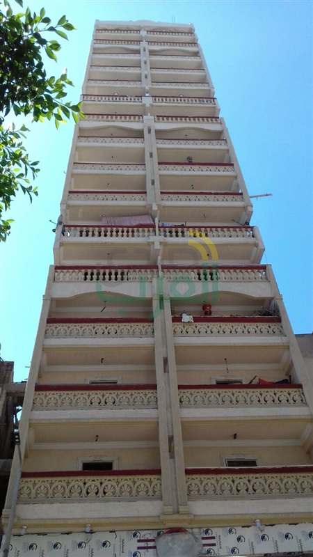 أحياء الإسكندرية تكثف حملاتها للقضاء على البناء المخالف