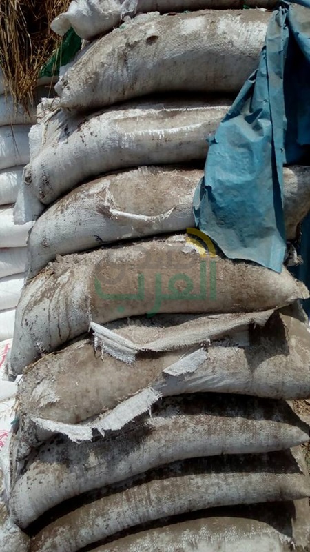 التحفظ علي ١٠٦٥ شيكارة ملح فاسد وجبنة بـ"الحشرات" بمعمل ألبان في كفر الشيخ